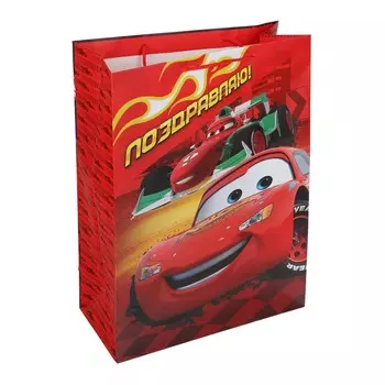 Подарочный пакет ЧУДО ПРАЗДНИК PXL-122055-C