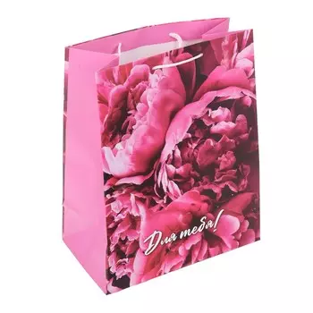 Подарочный пакет ЧУДО ПРАЗДНИК PXL-122142-FW1