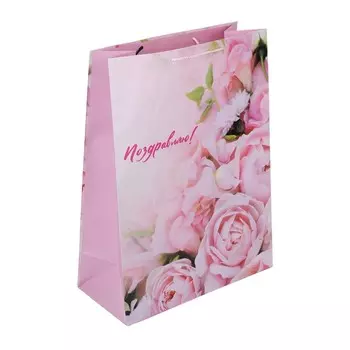 Подарочный пакет ЧУДО ПРАЗДНИК PXL-122149-FW3