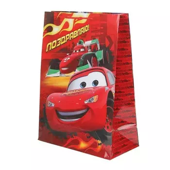 Подарочный пакет ЧУДО ПРАЗДНИК PXL-123410-C2