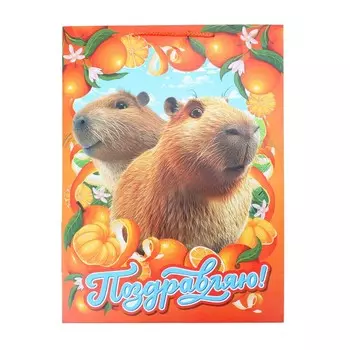 Подарочный пакет ЧУДО ПРАЗДНИК PXL-128835-KA