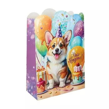 Подарочный пакет ЧУДО ПРАЗДНИК PXL-130114-CG