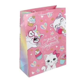 Подарочный пакет ЧУДО ПРАЗДНИК PXL-130122-CAT