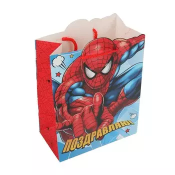 Подарочный пакет ЧУДО ПРАЗДНИК PXLF-112914-SM