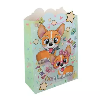 Подарочный пакет ЧУДО ПРАЗДНИК PXLF-114630-C