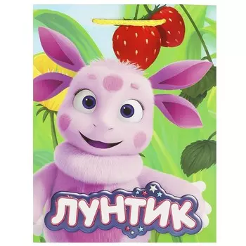 Подарочный пакет Лунтик, ЧУДО ПРАЗДНИК PM-109909-LHB