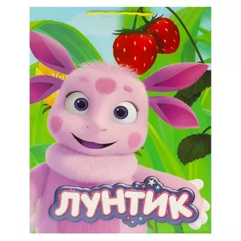 Подарочный пакет Лунтик, ЧУДО ПРАЗДНИК PXL-109912L-HB