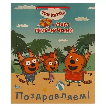 Подарочный пакет Три Кота, ЧУДО ПРАЗДНИК PL-109946-3СK