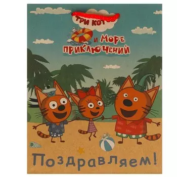 Подарочный пакет Три Кота, ЧУДО ПРАЗДНИК PM-109944-3СK