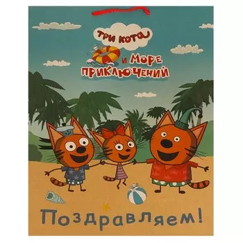Подарочный пакет Три Кота, ЧУДО ПРАЗДНИК PXL-109947-3СK