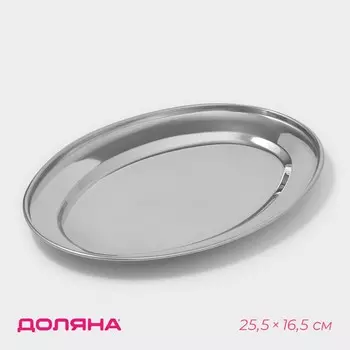 Поднос овальный из нержавеющей стали доляна, 25,516,5 см, цвет серебряный
