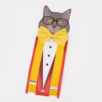 Подтяжки детские