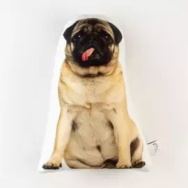 Подушка декоративная