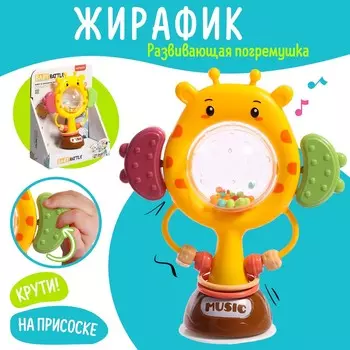 Развивающая игрушка - погремушка