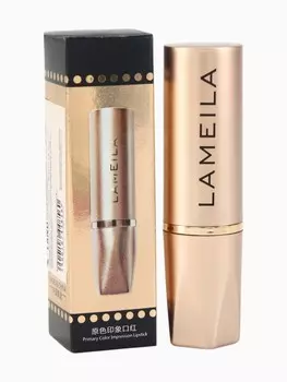 Помада для губ глянцевая, тон 2, 3.8 г