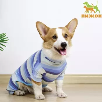 Попона послеоперационная, вискоза, размер m (ош 25, ог 38, от 31 см, вес 5-8 кг), голубая