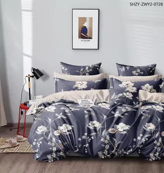 Постельное белье 2,0 спальный с Евро простыней