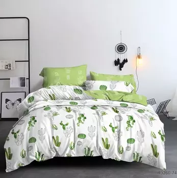 Постельное белье 2,0 спальный с Евро простыней