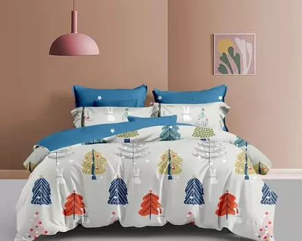 Постельное белье 2/0 спальный с Евро простыней