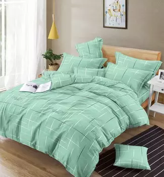 Постельное белье 2,0 спальный с Евро простыней