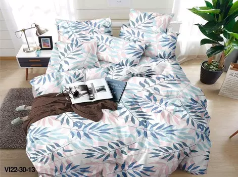 Постельное белье 2,0 спальный с Евро простыней