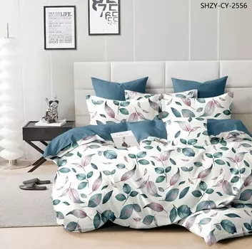 Постельное белье 2,0 спальный с Евро простыней