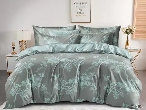 Постельное белье 2,0 спальный с Евро простыней