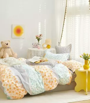 Постельное белье 2,0 спальный с Евро простыней