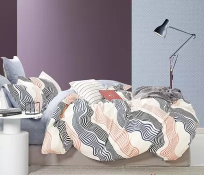 Постельное белье 2,0 спальный с Евро простыней