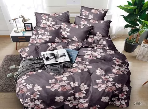 Постельное белье 2,0 спальный с Евро простыней