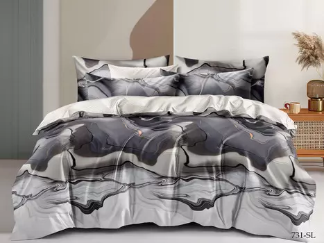 Постельное белье 2,0 спальный с Евро простыней