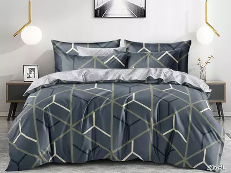 Постельное белье 2,0 спальный с Евро простыней