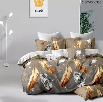 Постельное белье 2,0 спальный с Евро простыней