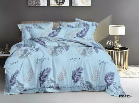 Постельное белье 2/0 спальный с Евро простыней