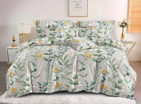 Постельное белье 2/0 спальный с Евро простыней