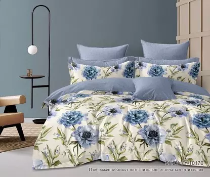 Постельное белье 2,0 спальный с Евро простыней