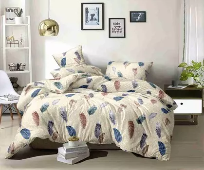 Постельное белье 2,0 спальный с Евро простыней