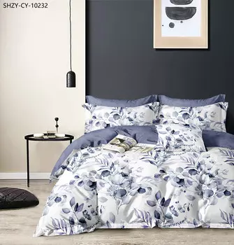 Постельное белье 2,0 спальный с Евро простыней