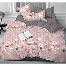 Постельное белье 2,0 спальный с Евро простыней