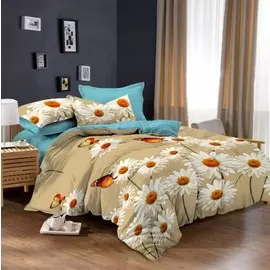 Постельное белье 2-х сп