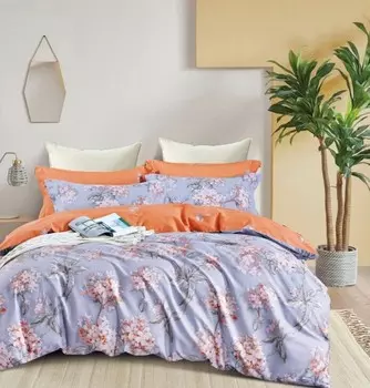 Постельное белье 2-х сп с Евро прост. на резинке