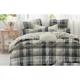 Постельное белье 2-х сп с евро прост.