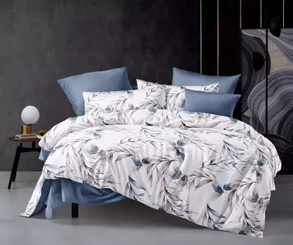 Постельное белье 2-спальное с Евро простыней