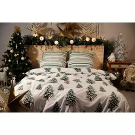 Постельное белье 2 спальный