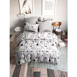 Постельное белье 2 спальный с Евро