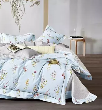 Постельное белье Евро Мини