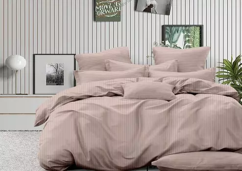 Постельное белье "Пудра" (2-х сп с евро простыней)