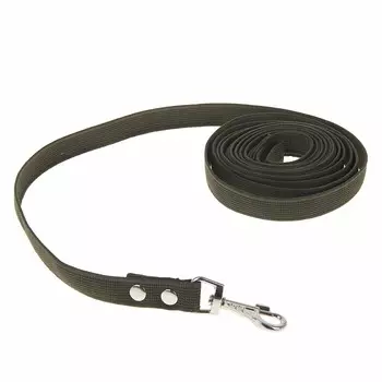 Поводок брезентовый 5 м х 2,5 см, темно-зеленый