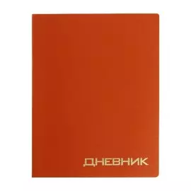 Премиум-дневник универсальный, для 1-11 класса vigo