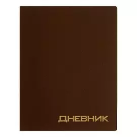 Премиум-дневник универсальный, для 1-11 класса vigo